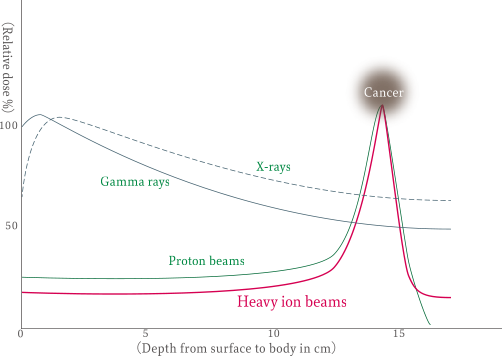 Illustration of dose distribution